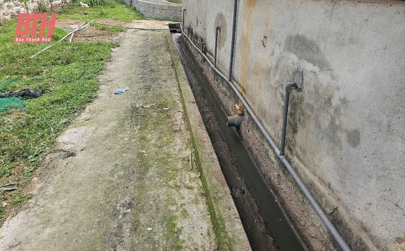 Xử phạt trang trại gây ô nhiễm môi trường