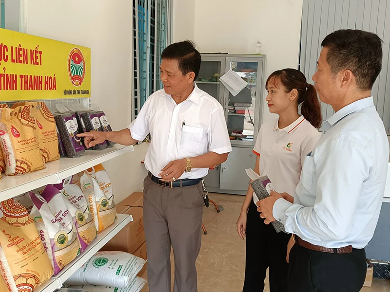 Gạo sạch trên những cánh đồng xanh