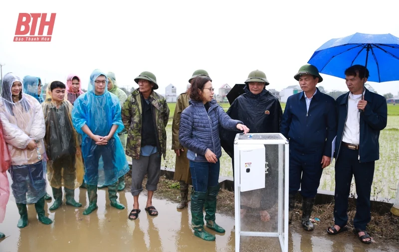 Ứng dụng trí tuệ nhân tạo trong sản xuất lúa tại xã Hà Long