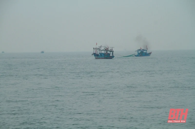 Chủ động ứng phó với rét đậm, rét hại và gió mạnh trên biển