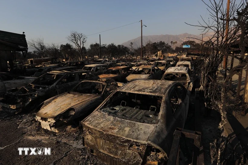 Oscar 2025: Phía sau ánh hào quang - Nỗi đau của Hollywood