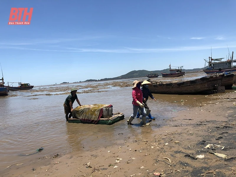 Mặn mòi làng biển