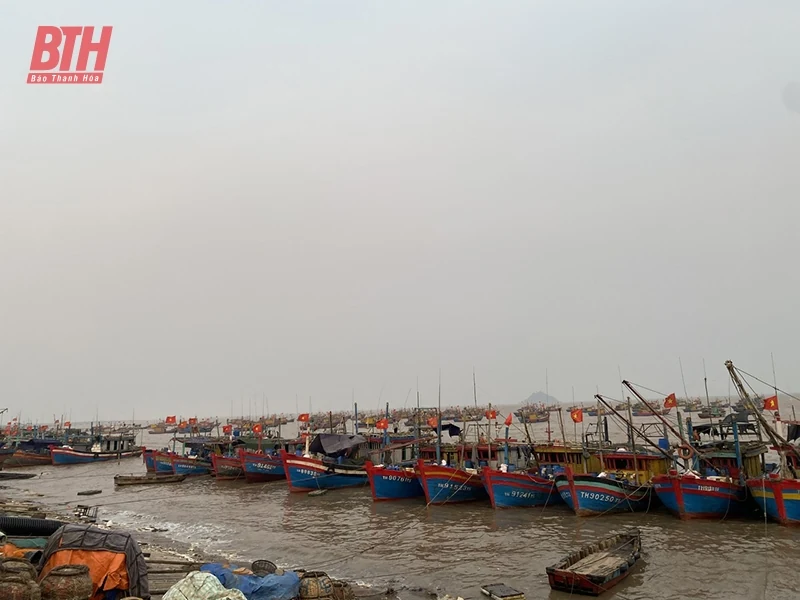 Mặn mòi làng biển