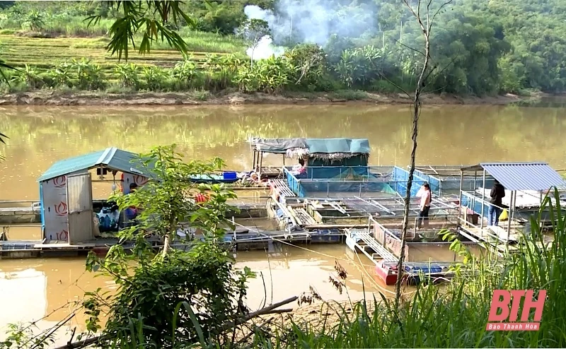 Nuôi cá lồng bè trên lòng hồ thuỷ điện Trung Xuân