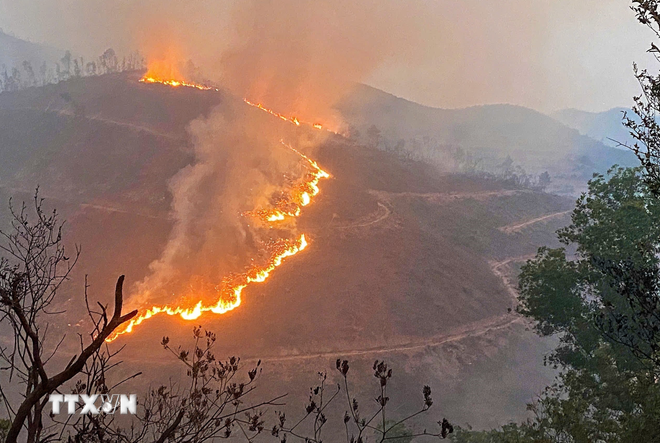 Cảnh báo nguy cơ cháy rừng tại 146 vùng ở nhiều khu vực trên cả nước