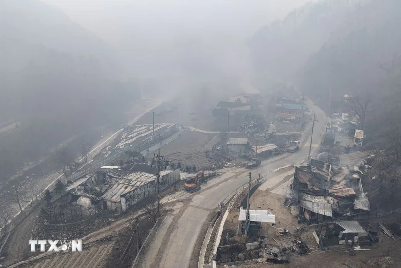 Cháy rừng nghiêm trọng ở Hàn Quốc: Ít nhất 26 người thiệt mạng