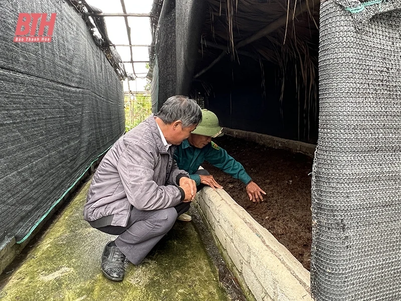 Phát triển trang trại gắn với bảo vệ môi trường