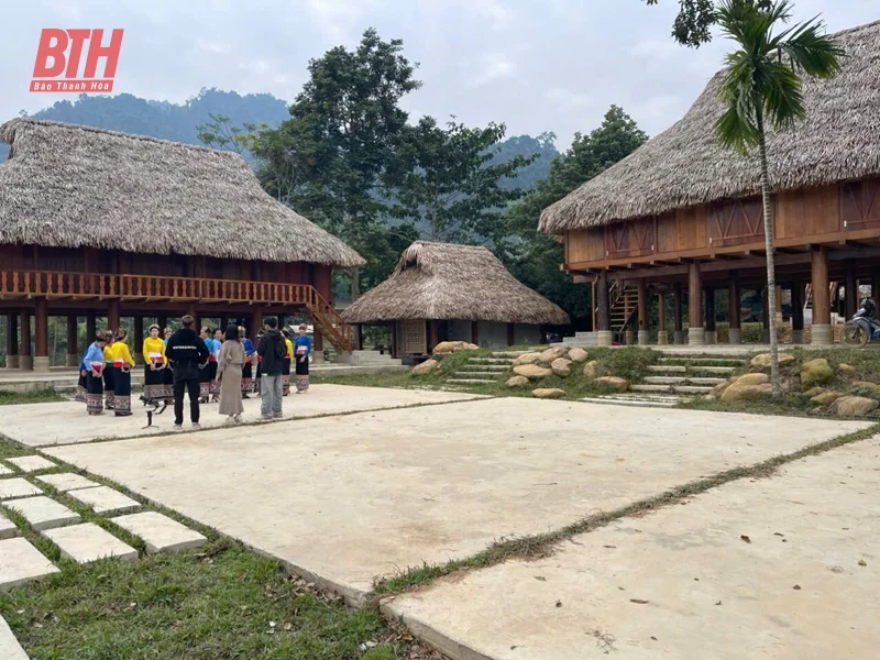 Thanh Phong khai thác tiềm năng phát triển du lịch