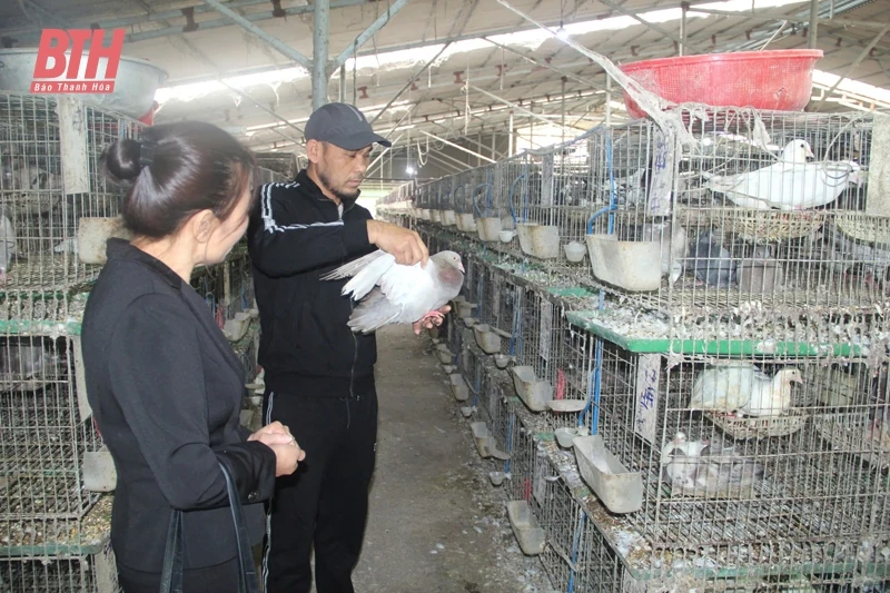 Chuyện bán nhà, vay lãi để khởi nghiệp