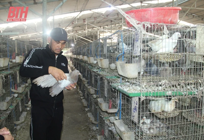 Chuyện bán nhà, vay lãi để khởi nghiệp