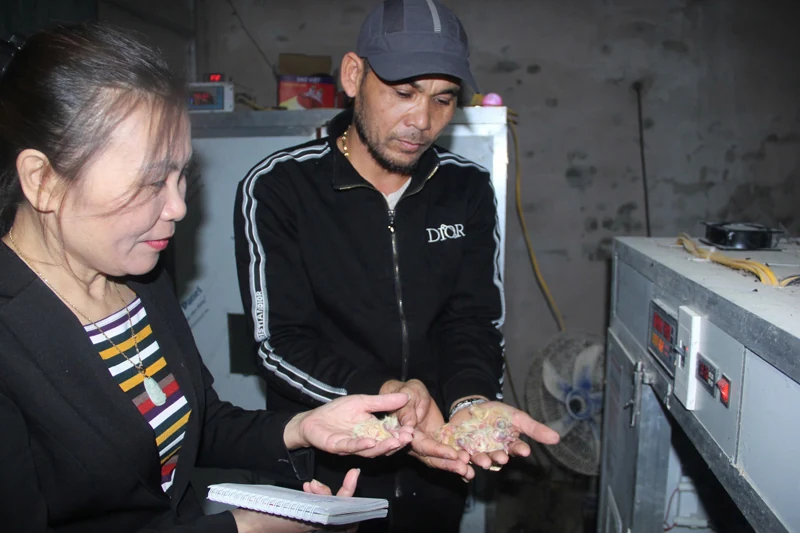 Chuyện bán nhà, vay lãi để khởi nghiệp