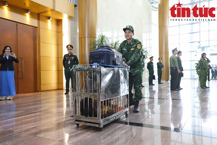 Hình ảnh 80 quân nhân Việt Nam lên đường sang Myanmar khắc phục hậu quả động đất