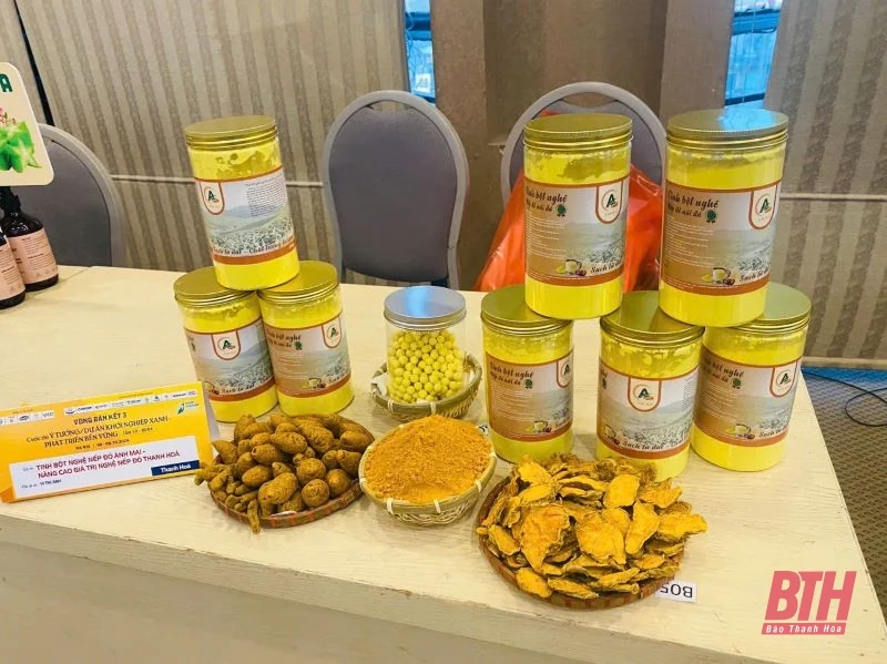 Cô gái dân tộc Thái nâng tầm cây nghệ nếp đỏ