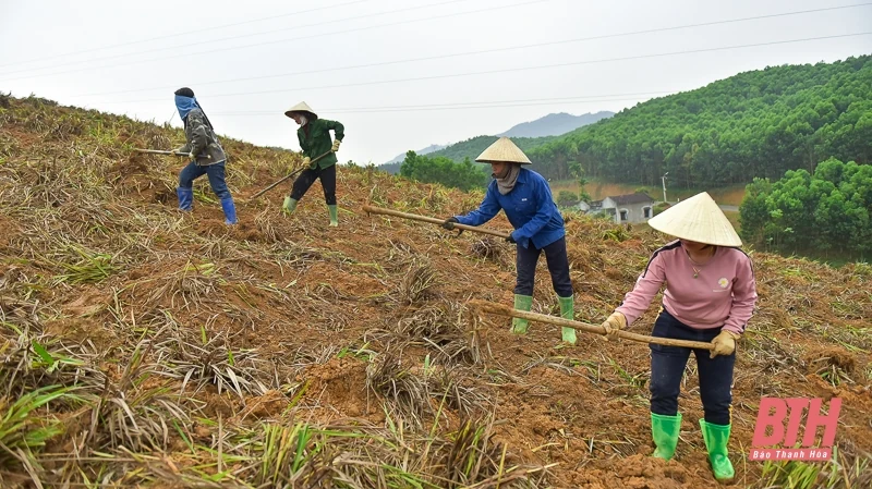 Từ đất rừng Như Xuân đến sản phẩm tâm linh truyền thống