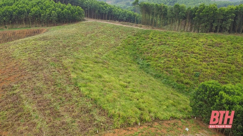 Từ đất rừng Như Xuân đến sản phẩm tâm linh truyền thống