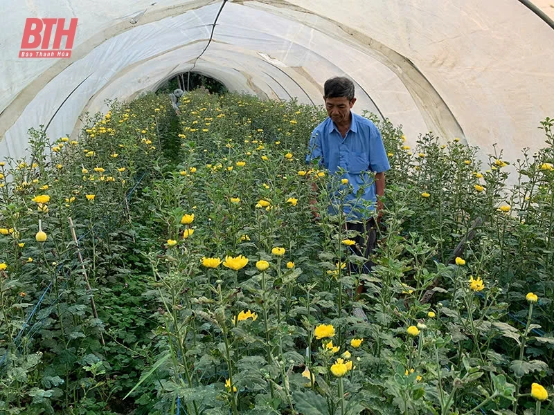 Trường Sơn - vùng quê đáng sống