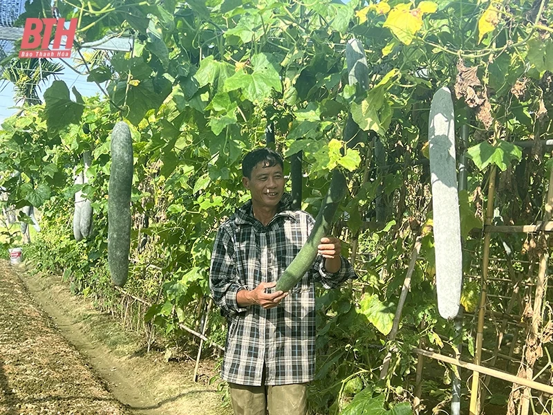 Nhân rộng các mô hình kinh tế hiệu quả