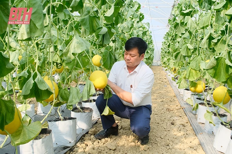 Tăng giá trị nông sản bằng tiêu chuẩn VietGAP, GlobalGAP