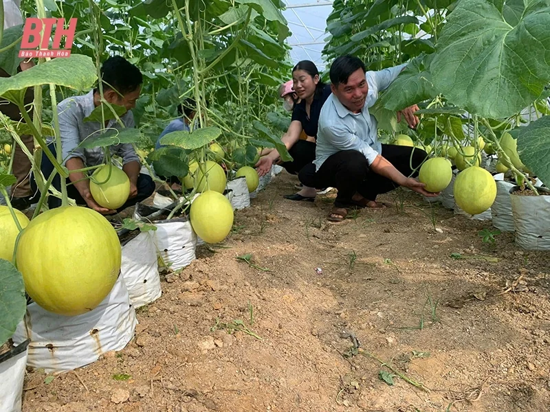 Hướng đến nền nông nghiệp xanh