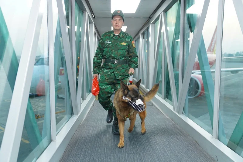 Công an, Quân đội Việt Nam cử lực lượng cứu nạn, cứu hộ đến Myanmar