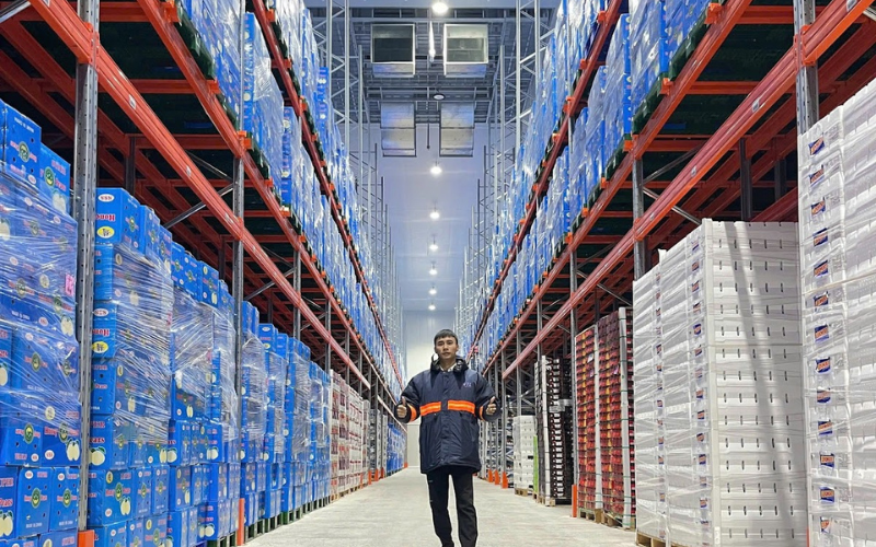 5+ kệ kho hàng tại Vinatech Group phổ biến nhất 2025