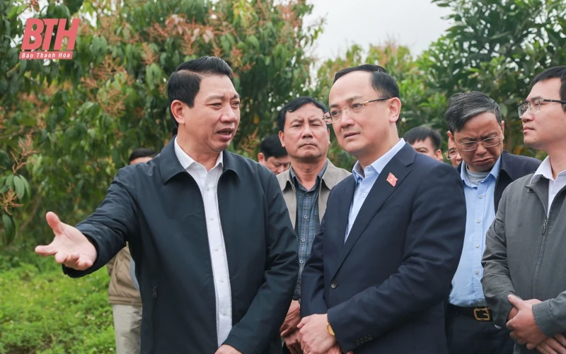 Giám sát việc chuyển đổi mục đích sử dụng rừng thực hiện Dự án Hồ chứa nước bản Mồng