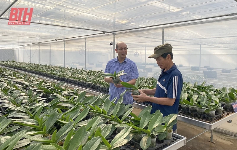 Góp phần đưa phong trào kinh tế tập thể phát triển bền vững