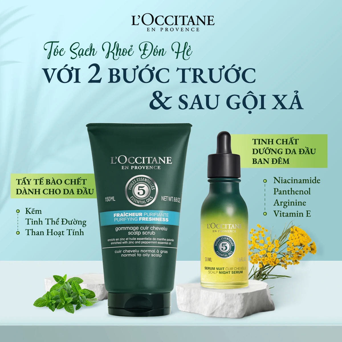 2 Bước Trước & Sau Khi Gội Xả Cho Tóc Sạch Khỏe Đón Hè