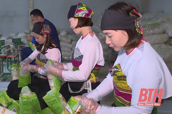 Ngọc Lặc nâng tầm chất lượng sản phẩm OCOP