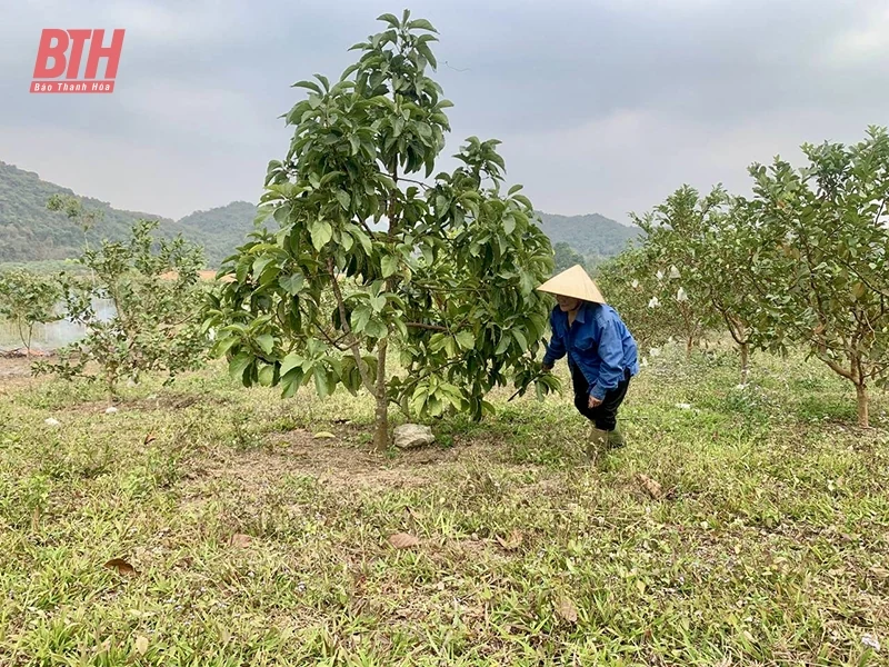 Tăng giá trị nông sản, nâng tầm sản xuất nhờ ứng dụng khoa học công nghệ
