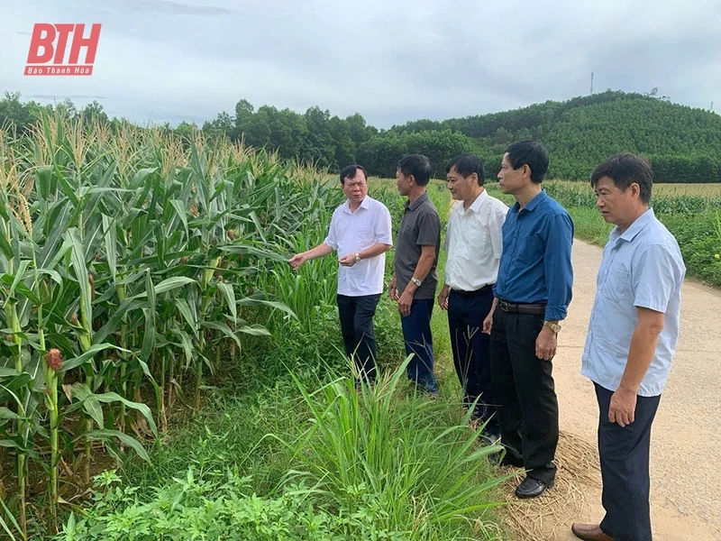 “Đòn bẩy” giúp nông dân phát triển kinh tế