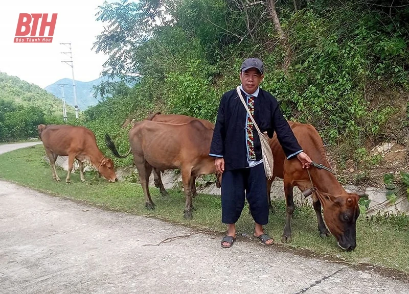 Nơi ấy đâu chỉ có nương ngô