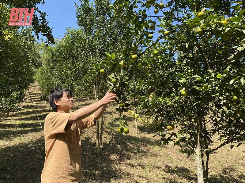 Nơi ấy đâu chỉ có nương ngô