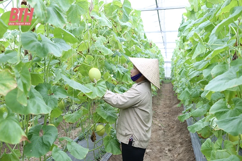 Trang trại tuần hoàn không rác thải