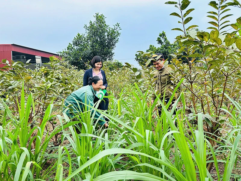 Vươn lên thoát nghèo nhờ nguồn vốn vay ưu đãi