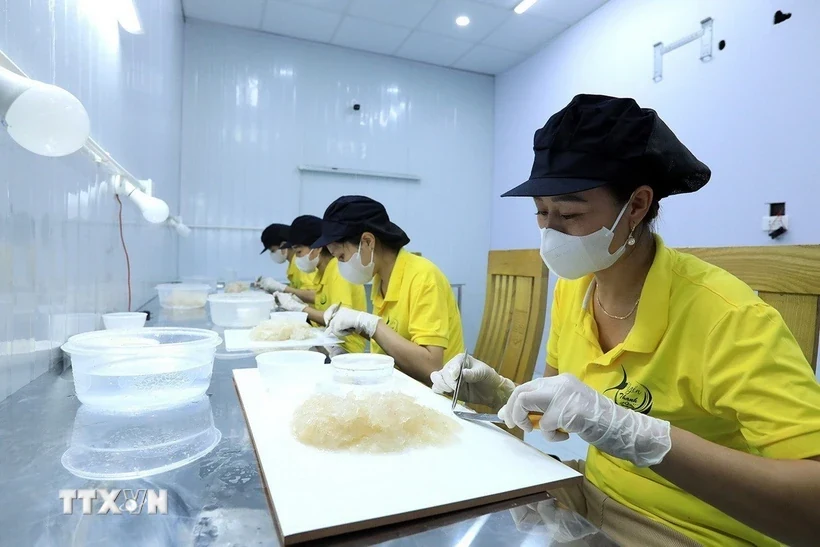 Quy định xuất khẩu tổ yến thô và tổ yến sạch sang Trung Quốc