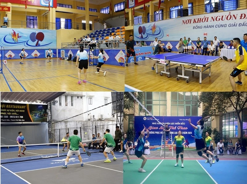 Hội thao công nhân, viên chức, lao động lần thứ 10 các công ty điện lực cụm phía Nam thuộc EVNNPC