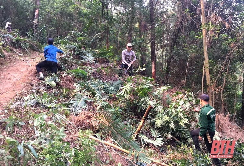 Tăng cường bảo vệ rừng, phòng cháy chữa cháy rừng mùa du lịch 
