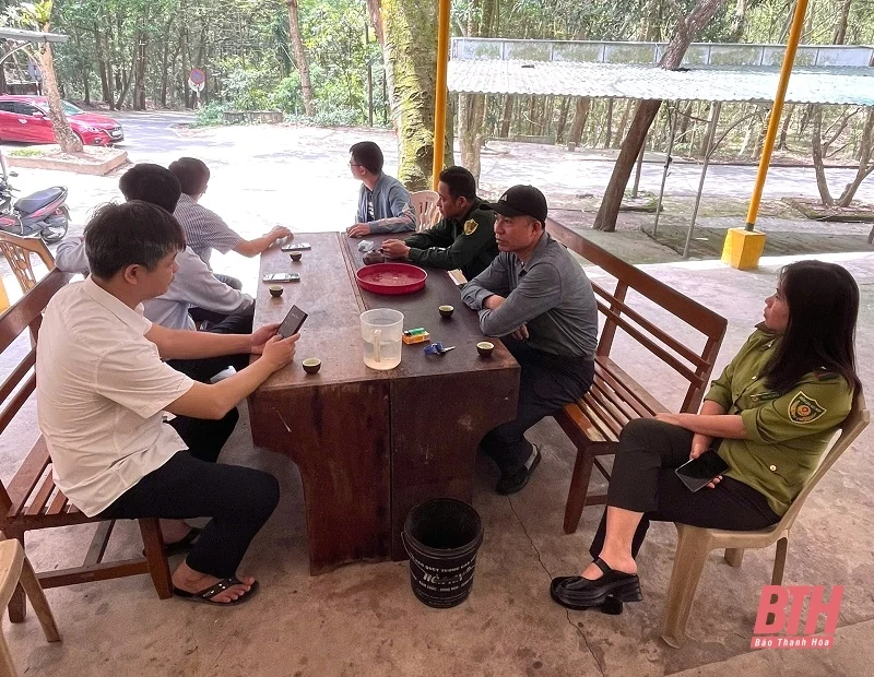 Tăng cường bảo vệ rừng, phòng cháy chữa cháy rừng mùa du lịch 