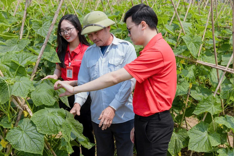 Đảng bộ Agribank Nam Thanh Hóa lãnh đạo hoạt động kinh doanh hiệu quả