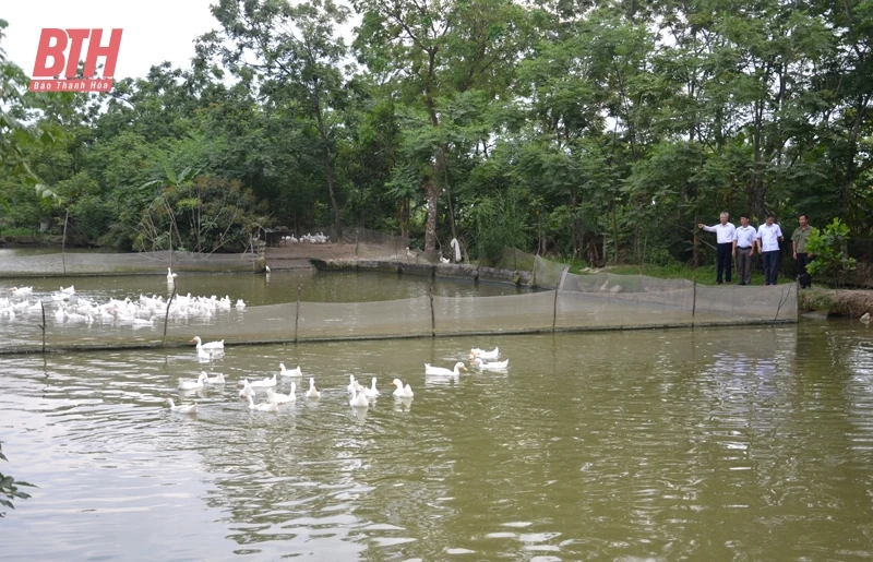 Phát triển sản xuất nông nghiệp bền vững, hiệu quả