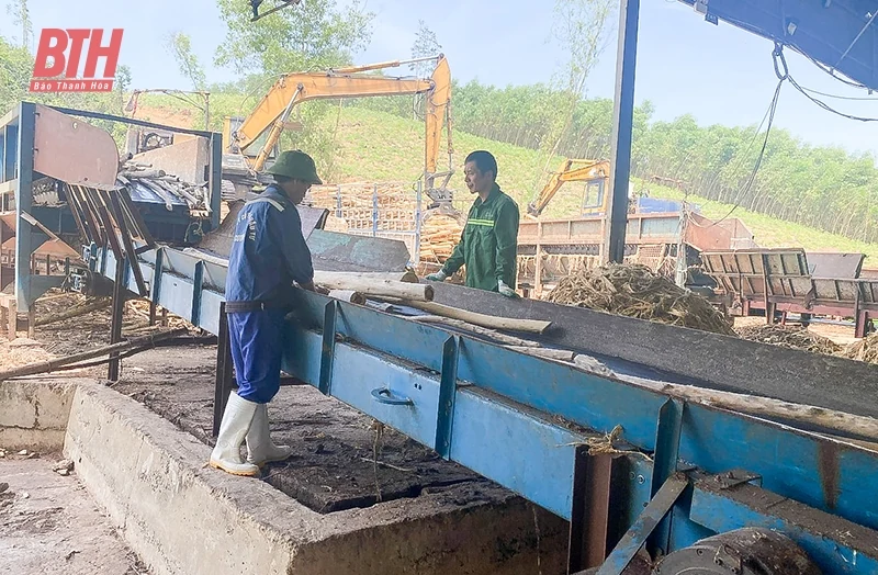 Phát triển bền vững ngành chế biến lâm sản