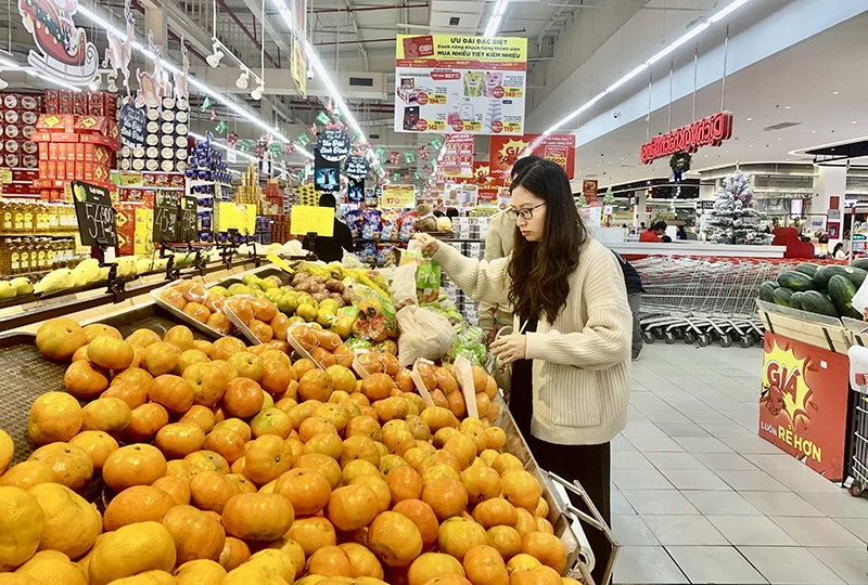 Những gam màu tươi sáng