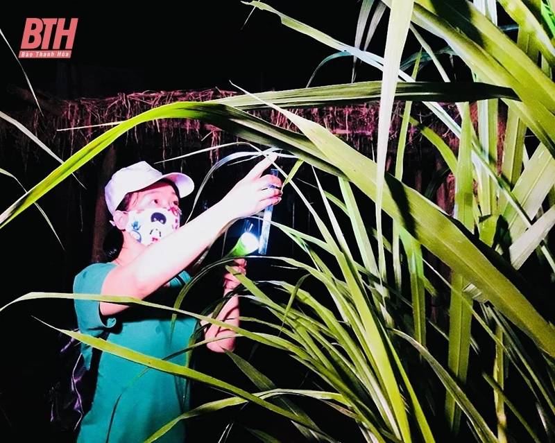 Nỗ lực phòng, chống bệnh sốt rét quay trở lại