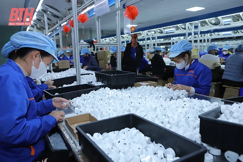 Chuyển đổi số trong doanh nghiệp - từ chính sách đến thực tiễn