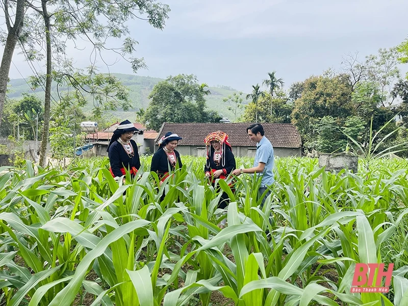 Nhân hội nghị biểu dương trưởng ban công tác mặt trận tiêu biểu tỉnh Thanh Hóa, giai đoạn 2020-2025: Xứng đáng là “nhịp cầu” nối “ý Đảng - lòng dân”