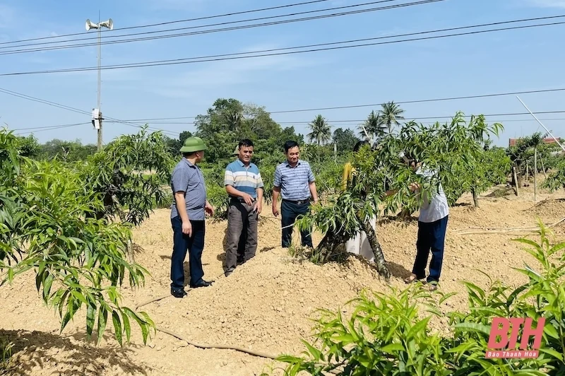 Nhân hội nghị biểu dương trưởng ban công tác mặt trận tiêu biểu tỉnh Thanh Hóa, giai đoạn 2020-2025: Xứng đáng là “nhịp cầu” nối “ý Đảng - lòng dân”