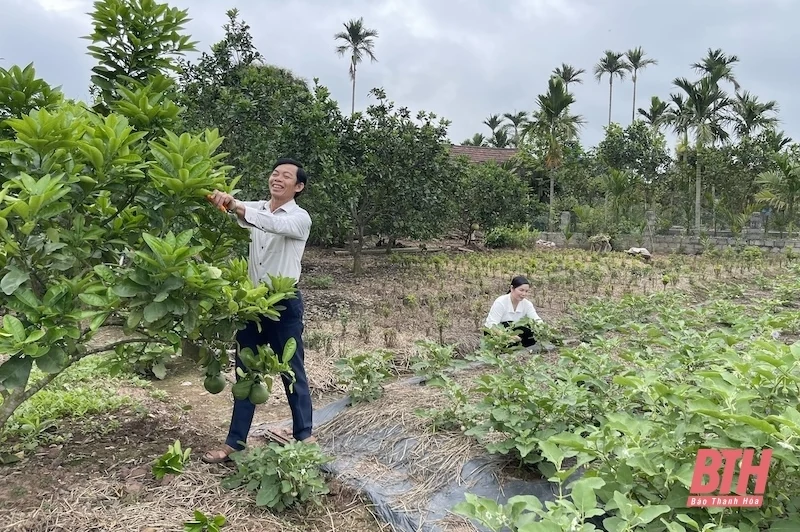 Nhân hội nghị biểu dương trưởng ban công tác mặt trận tiêu biểu tỉnh Thanh Hóa, giai đoạn 2020-2025: Xứng đáng là “nhịp cầu” nối “ý Đảng - lòng dân”