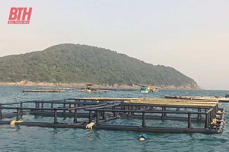 Sức sống mới ở Đảo Mê