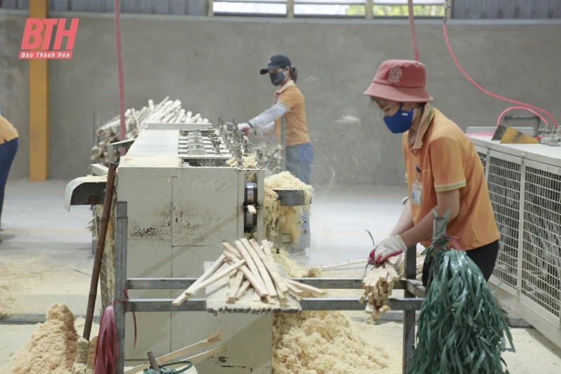 Cải cách vì một môi trường đầu tư bền vững